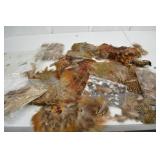 Assorted Pheasant Feathers and Skins Lot for Fly Tying or Crafts Assorted Pheasant Feathers and Skins Lot for Fly Tying or Crafts