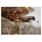Assorted Pheasant Feathers and Skins Lot for Fly Tying or Crafts Assorted Pheasant Feathers and Skins Lot for Fly Tying or Crafts