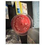 Household Utility Lot with Bed Lifts, Carbon Monoxide Alarm, Cleaners, Beads, and Accessories