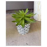 Tall Mosaic Shell Vase and Small Faux Succulent Decor Set