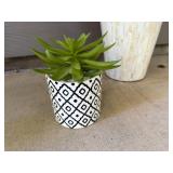 Tall Mosaic Shell Vase and Small Faux Succulent Decor Set