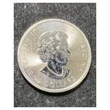 2018 CANADIAN POLAR BEAR HALF TROY OZ .9999 FINE SILVER