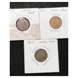 3 US INDIAN HEAD CENTS 1894 1897 1899