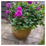 Ceramic Dijon Yellow Glaze Outdoor Zinnia Planter