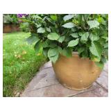 Ceramic Dijon Yellow Glaze Outdoor Zinnia Planter