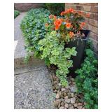 Black Commercial Resin Outdoor Planter, A