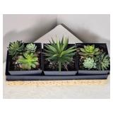 Adorable Succulent Centerpiece