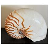 Seaside Decor Collection with Framed Shell Art, Otagiri Vase, Wood Fish Sculptures, and Nautilus Shell