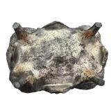 Antique Victorian B&W Metal Art Nouveau Jewelry Casket / Antique B & W 1411 Jewelry Casket