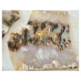 Set of 7 Polished Agate Slabs with Natural Patterns