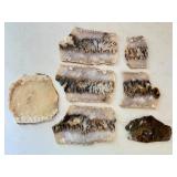 Set of 7 Polished Agate Slabs with Natural Patterns
