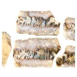 Set of 7 Polished Agate Slabs with Natural Patterns