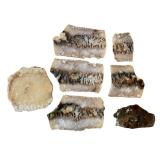 Set of 7 Polished Agate Slabs with Natural Patterns