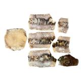 Set of 7 Polished Agate Slabs with Natural Patterns