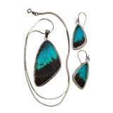 Set of Butterfly Wing Pendant and Earrings with Unmarked Sterling Silver Frames