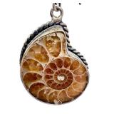 Ammonite Fossil Sterling-Style Pendant and Earrings Set