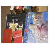 A lot full of books... A lot full of books...