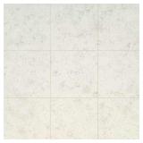 TrafficMaster Baja White 12 in. x 12 in. Matte Ceramic Floor and Wall Tile (630 sq. ft)