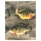 3 Sunfish and 1 Crappie Wall Hanging Fish Mounts 3 Sunfish and 1 Crappie Wall Hanging Fish Mounts