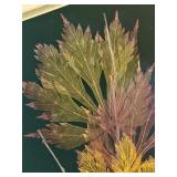 Framed Botanical Artwork by Mary Booker in Maple Frame