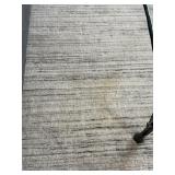 Large Neutral Area Rug 109 x 144 Inches Plush Texture
