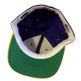 Vintage Minnesota Vikings NFL Pro Line Wool Fitted Hat