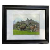 Collection of 7 pieces of framed Artwork
