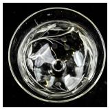 Set of 10 Optic Gray Cut Flower and Berries Stemware Glasses