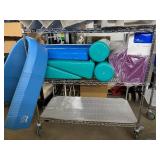 Lot of NEW & Used Foam Wedges, Balance Beams, and Raised Rolls for Physical Exercise and Gym Safety - Cart Not Included Lot of NEW & Used Foam Wedges, Balance Beams, and Raised Rolls for Physical Exercise and Gym Safety - Cart Not Included