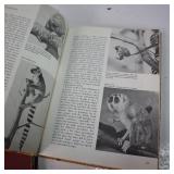 VERY Interesting Vintage Magazines and Books - Mother Goose and "Man