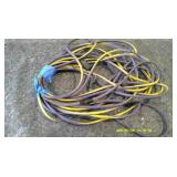 Purple and Gold Extension Cord