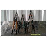 A lot of Three Heavy Branch Pruners.