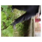 Homemade Trailer For Parts