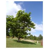 Pallet Racking Parts