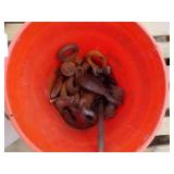 Orange Bucket with Content, White Garbage Can with Content