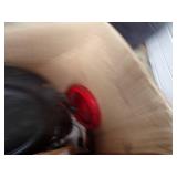 Box of Trailer lights