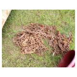 Chains with Red Bucket