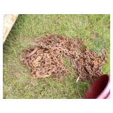 Chains with Red Bucket