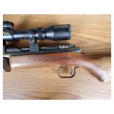 Ben Franklin Pump BB Gun