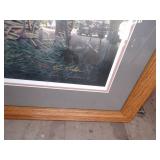 "Field of Dreams" DEER Picture