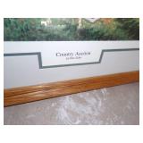 County Auction Picture