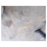 Black Frame- Motorcycle Picture