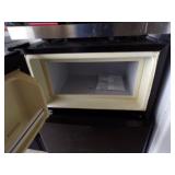 Mini Fridge with Freezer and Microwave