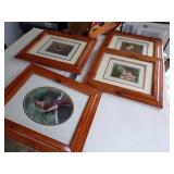 4 Bird Prints in Frames