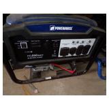 PowerHorse 11,050 Generator