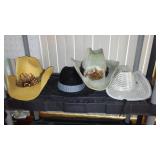 Cowboy Hat Variety (4).