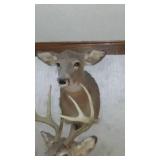 Doe Head Taxidermy Mount