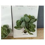 Threshold Faux Succulents & Moss Vase Filler Home Decor - Brand New