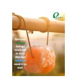 2 Himalayan Salt Licks on Ropes for Livestock, 8 lbs Each - Brand New