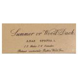 Framed Summer or Wood Duck Audubon Print